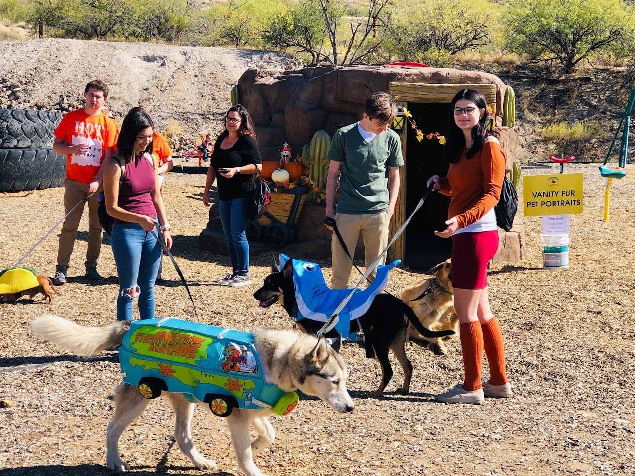 DOGTOBERFEST DOGTOBERFEST