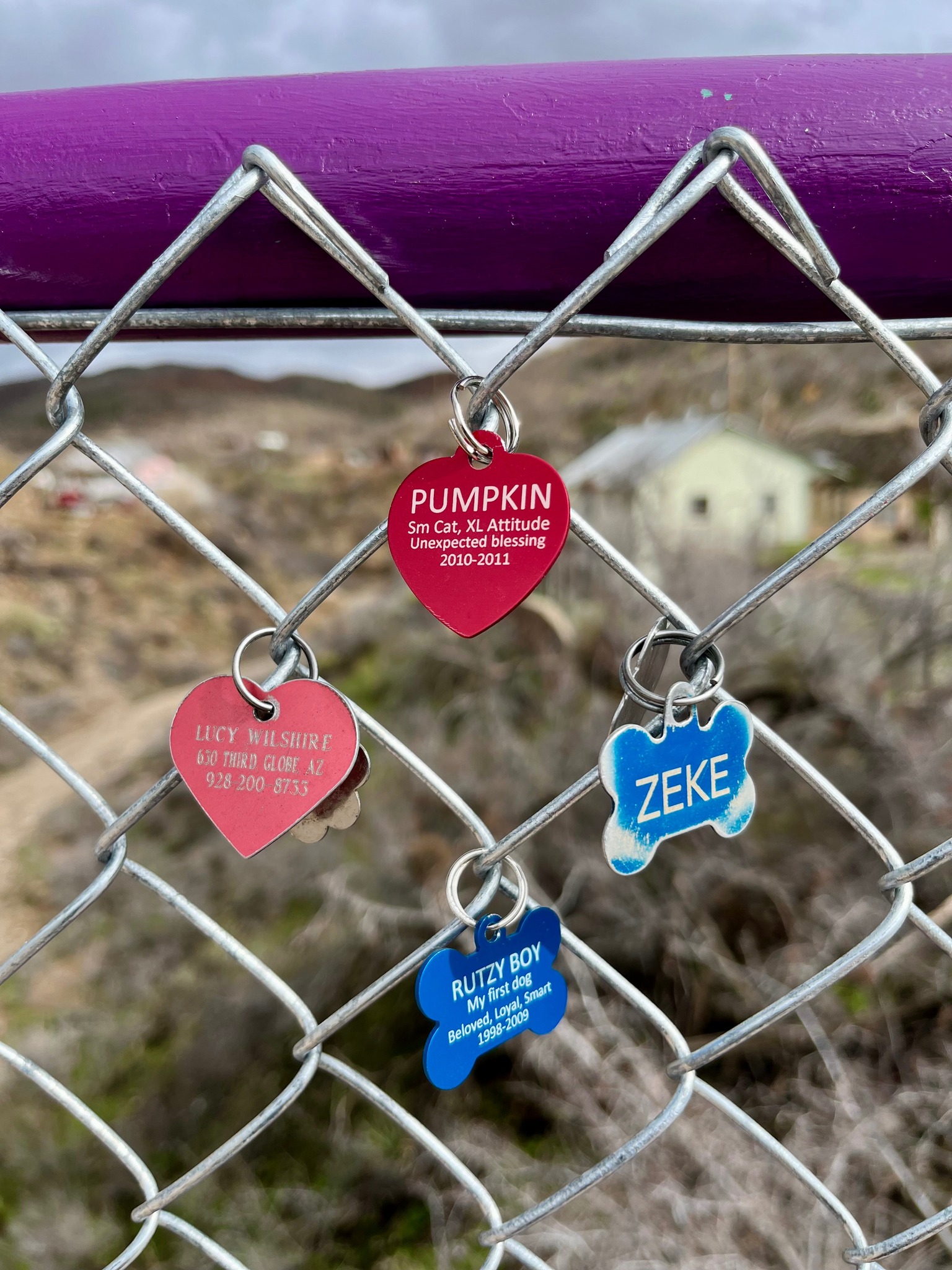 481112452_613091764683948_8214274818013400462_n