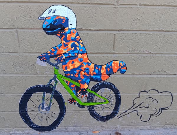 474504125_10229718469045759_6331351038229418206_n